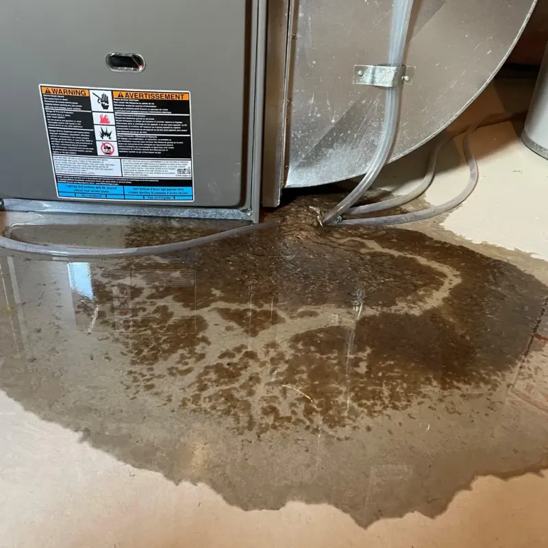 Appliance Leak Cleanup in Keaau, HI