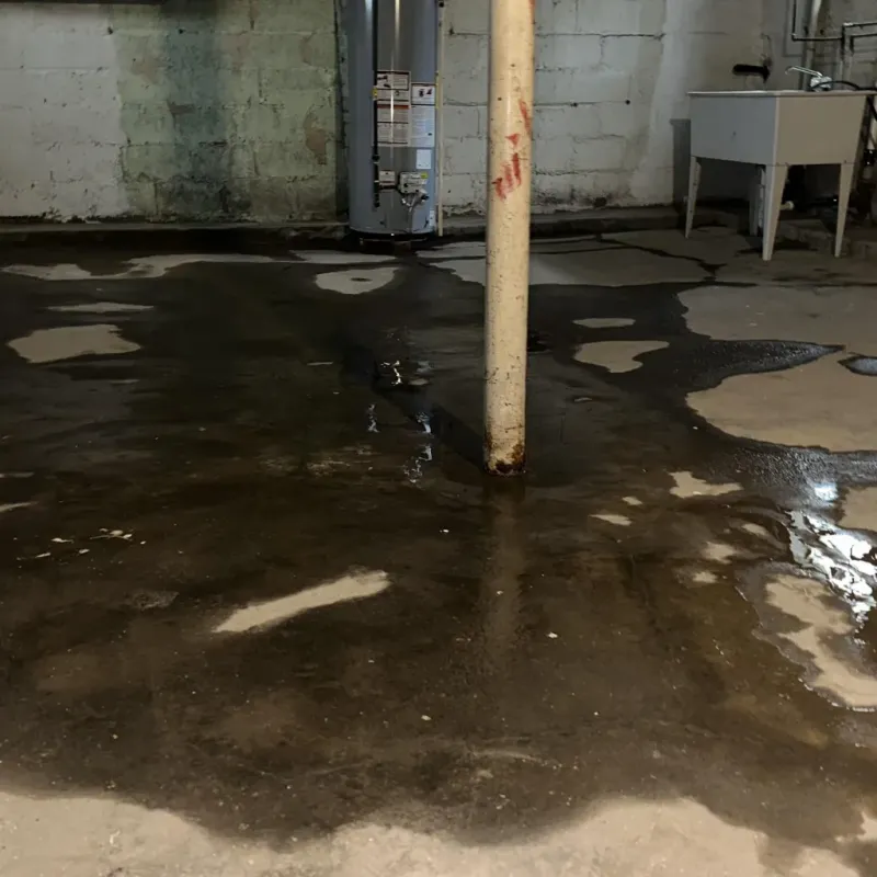 Emergency Water Extraction And Removal in Keaau, HI